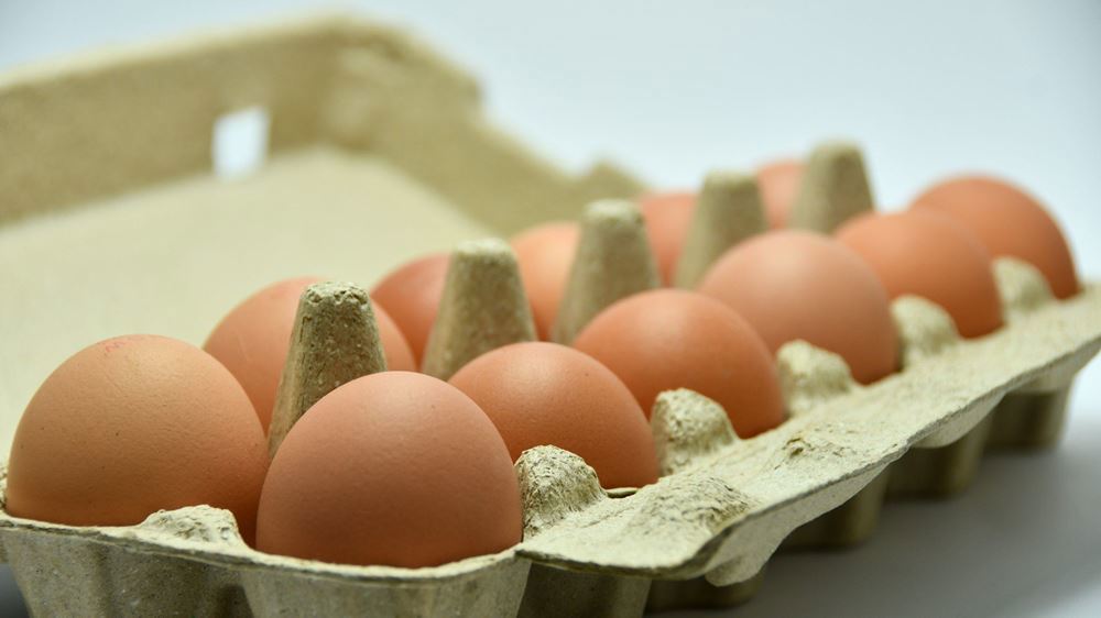 Eggs Natural: Large - Dozen - MH