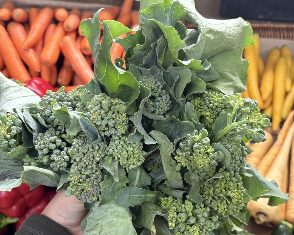 Baby Broccoli