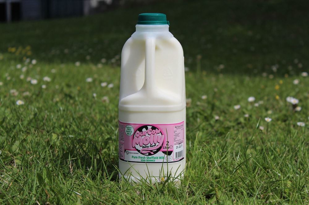Our Cow Molly Semi Skimmed Milk, 2L