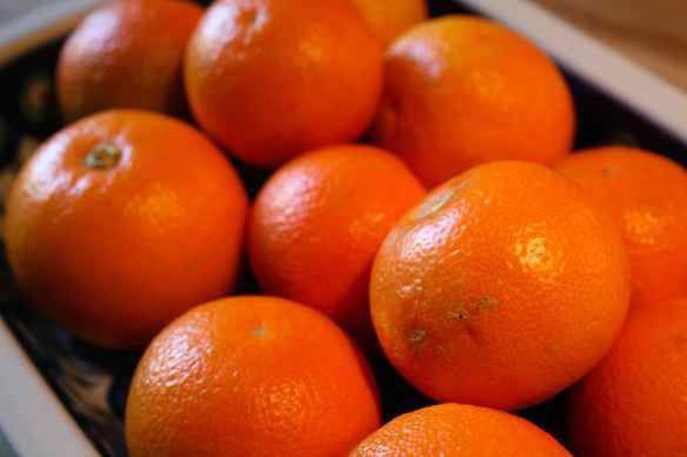 Seville Oranges Organic (1Kg)