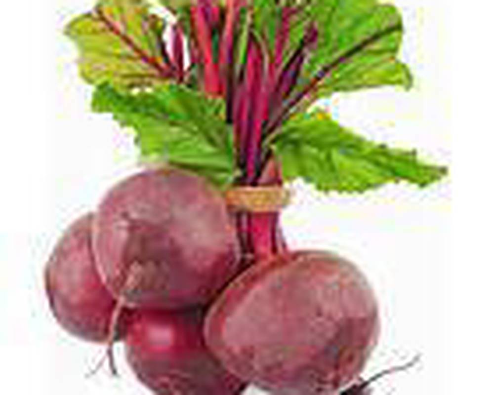Beetroot. Bunch