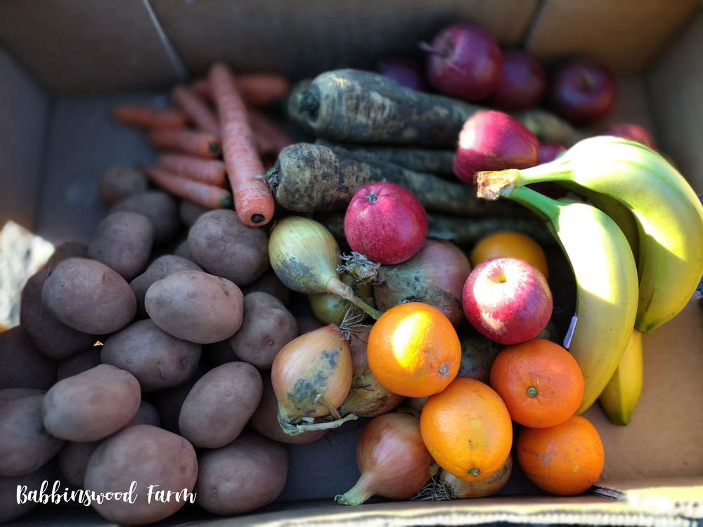 Introduction to Organic Family Box