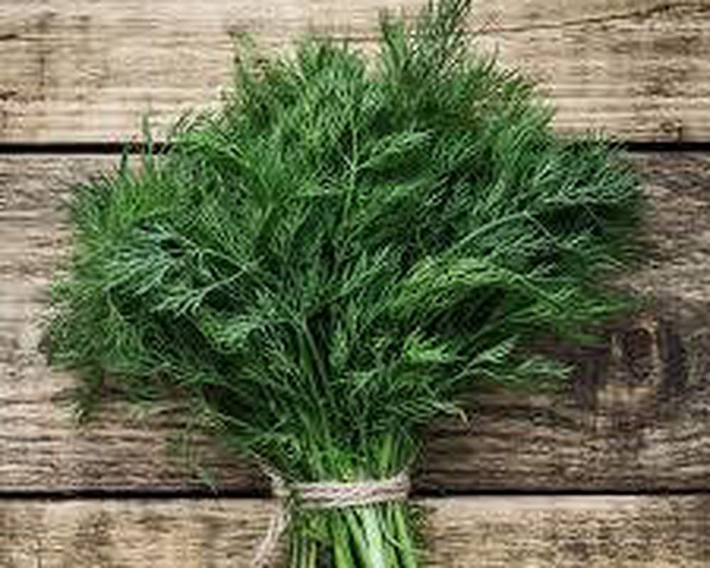 Dill (1 Bunch = about 4oz)