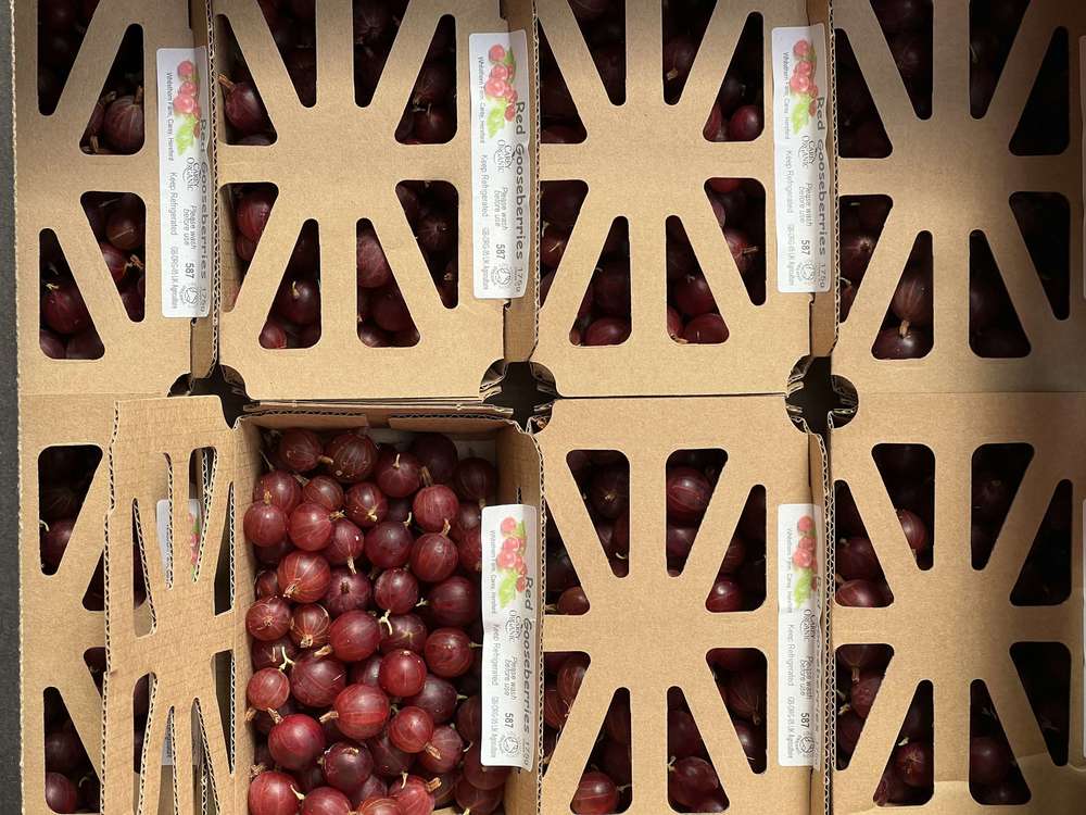 Gooseberry - Red - Punnet
