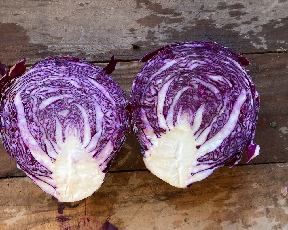 Red cabbage