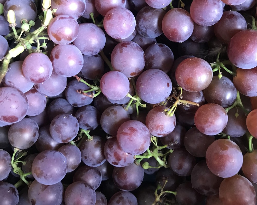 Grapes