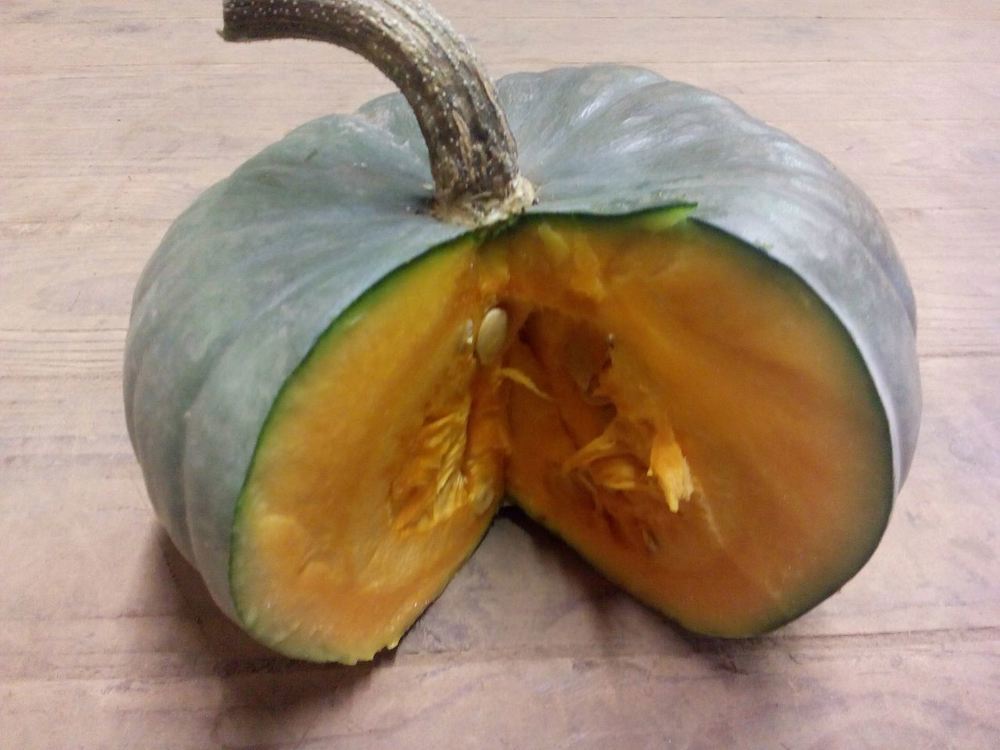 Squash-Queensland Blue