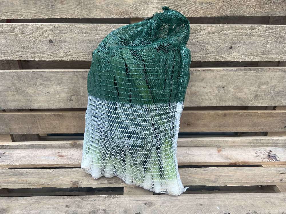Organic Leeks