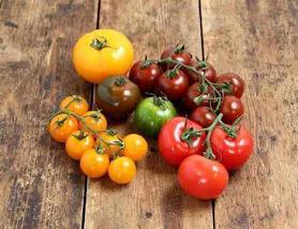 Mix Heirloom Tomatoes