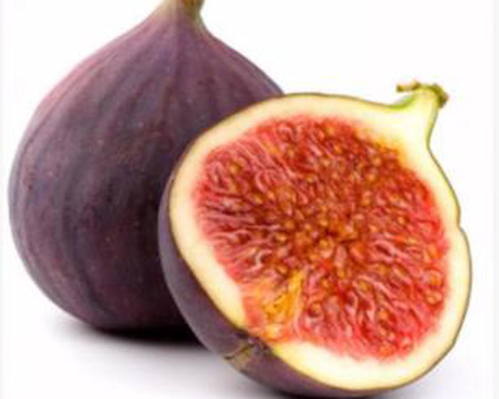 Figs x2