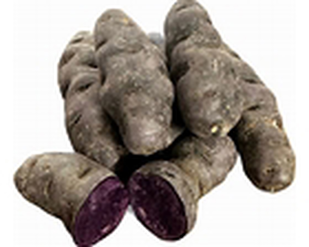 purple sweet potato ZA
