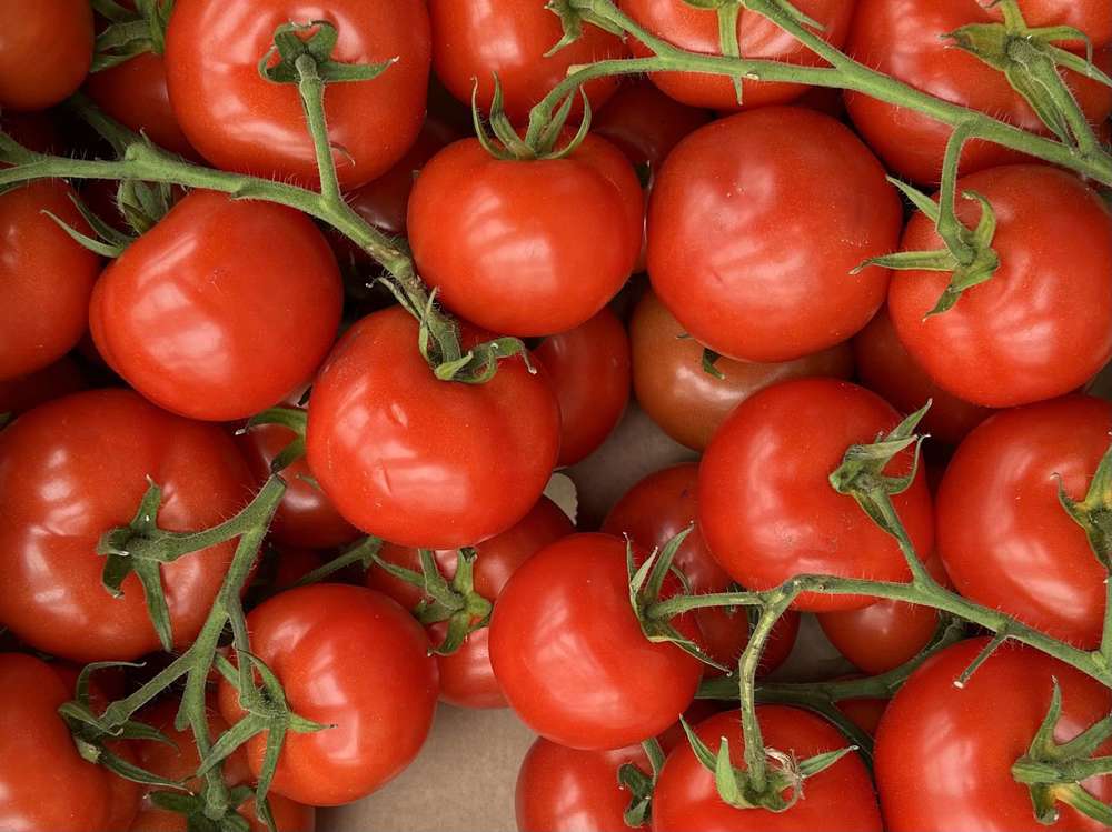 Vine Tomatoes