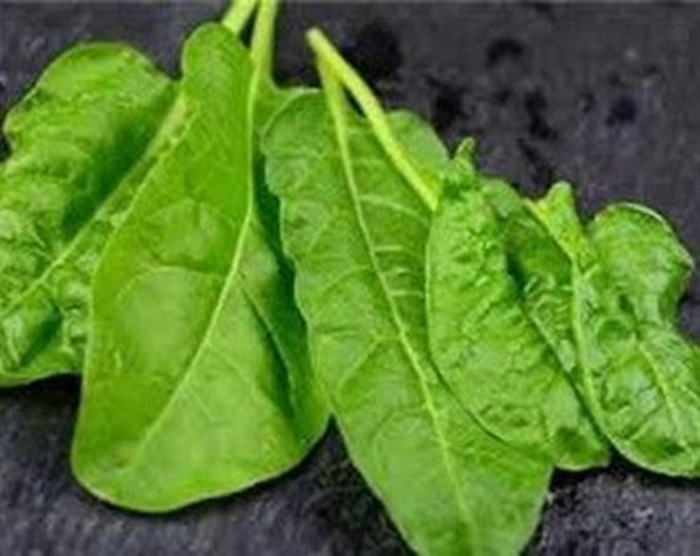 Perpetual Spinach - 480g