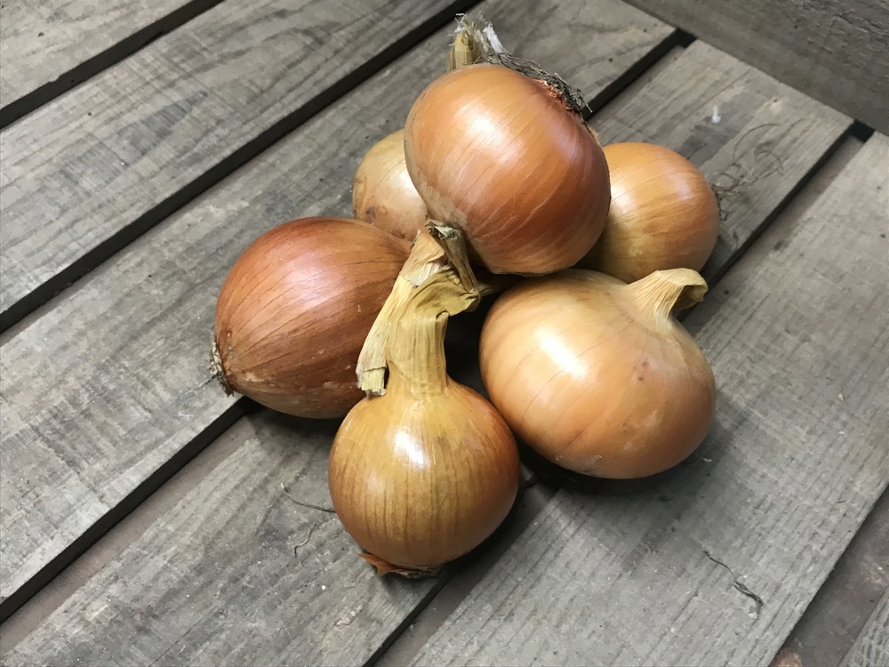 Onions 500g portion