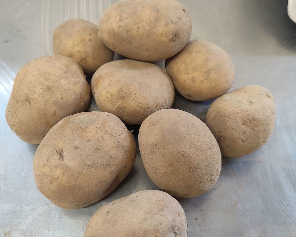 Potato White- Dirty (1 kg)