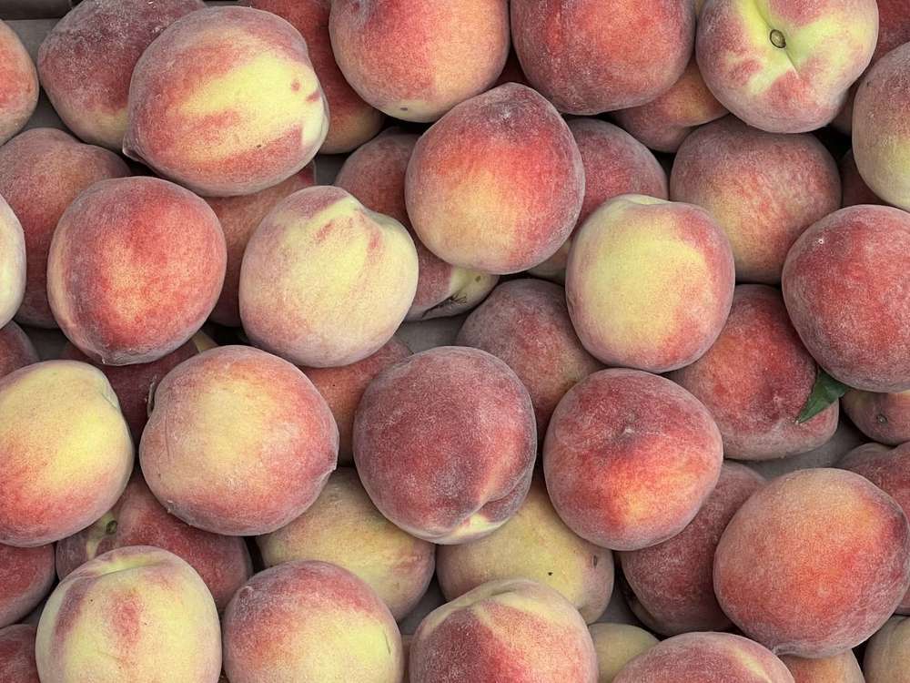 Organic Peaches (500g)