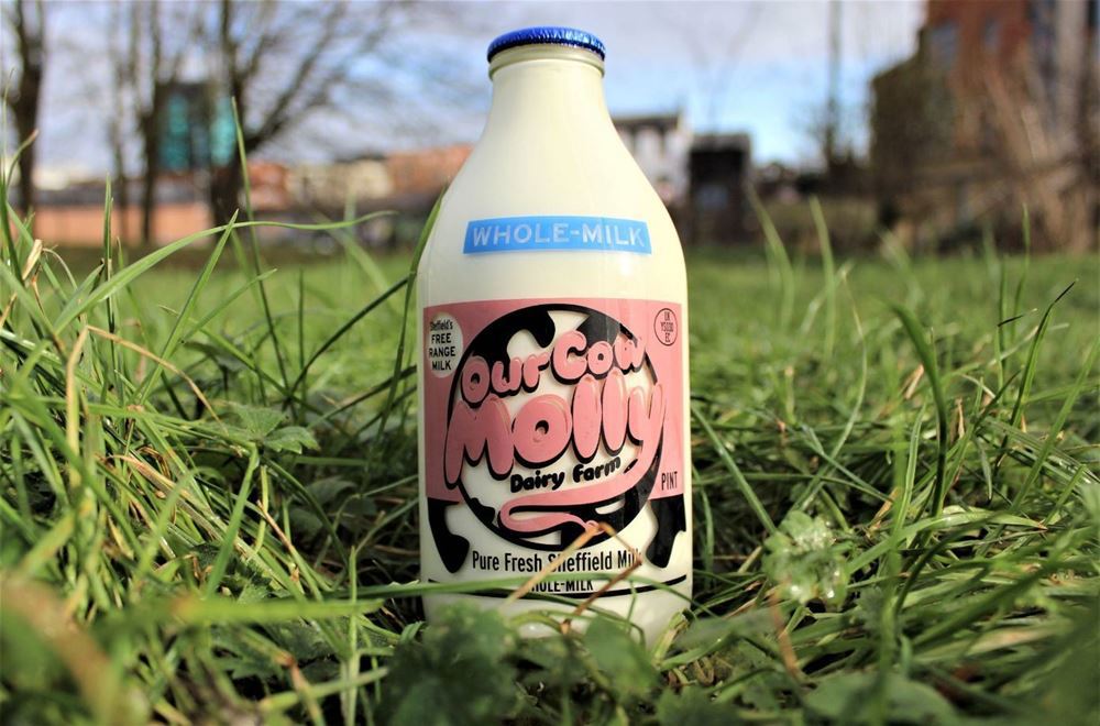 Our Cow Molly Whole Milk, Pint