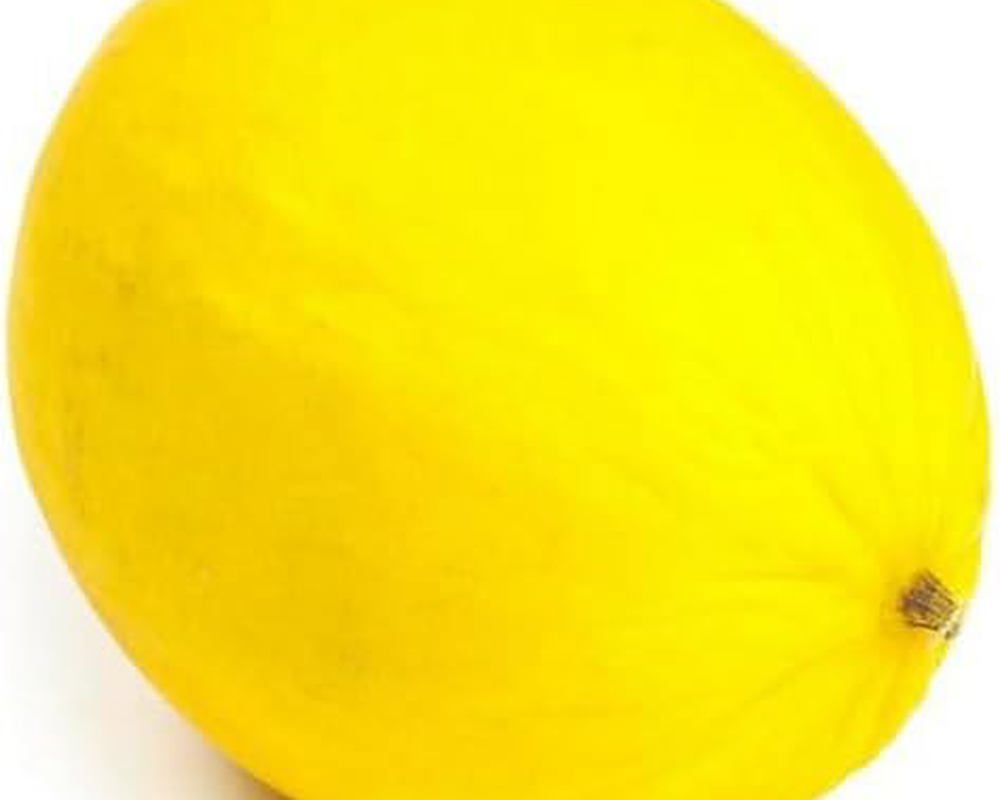 Melon - Honeydew