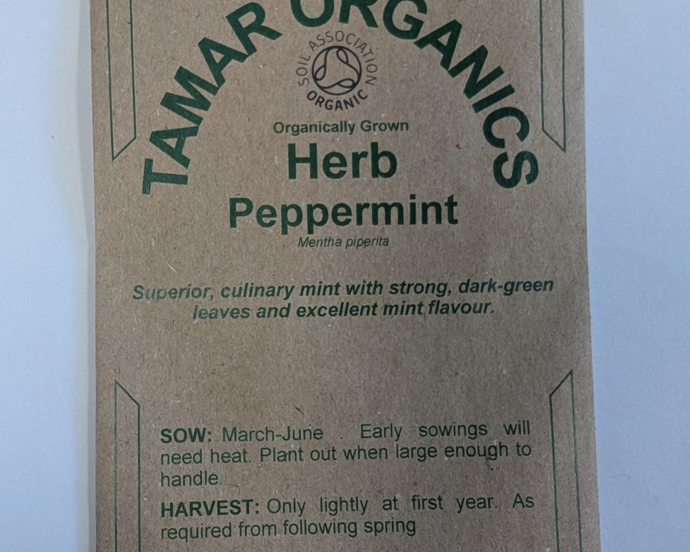 (Seeds) Herb - Peppermint