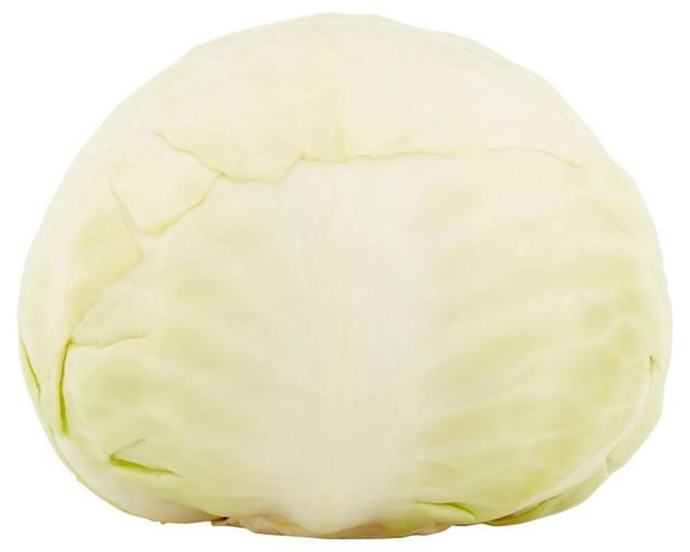 Cabbage - White