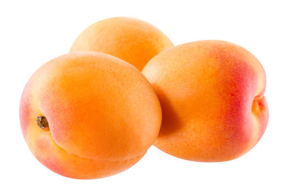 Apricot