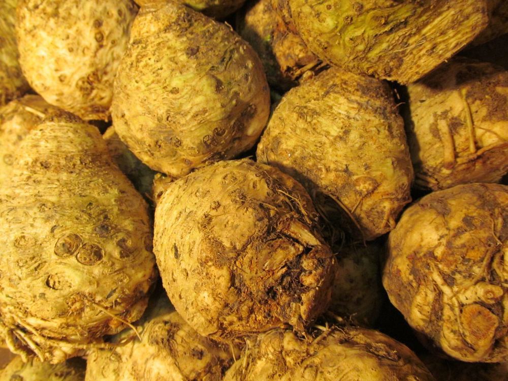 Celeriac (Organic)