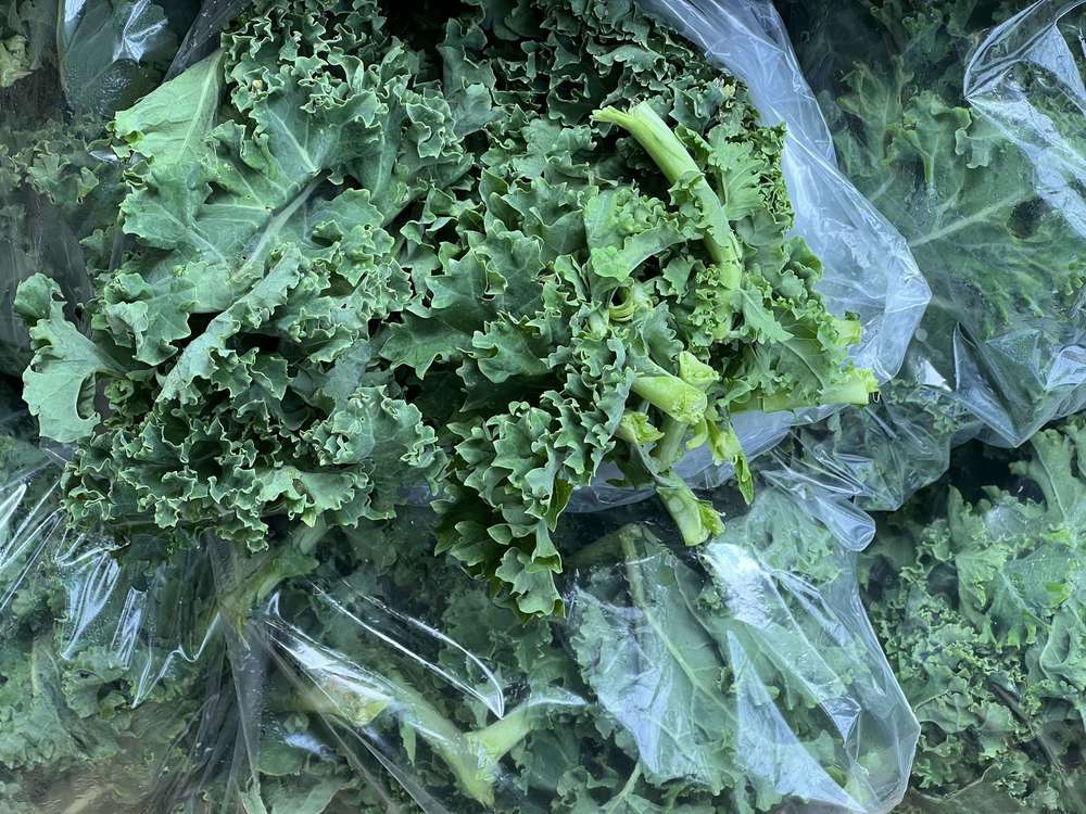 Kale - Organic Green - 1 Bag