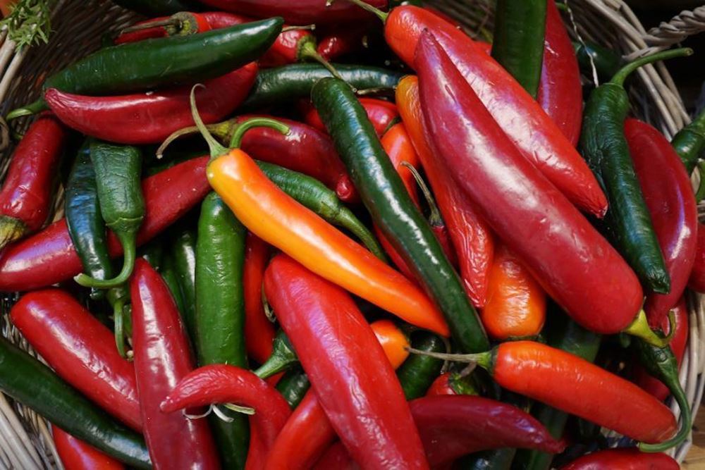 Chilli Peppers (Spain)