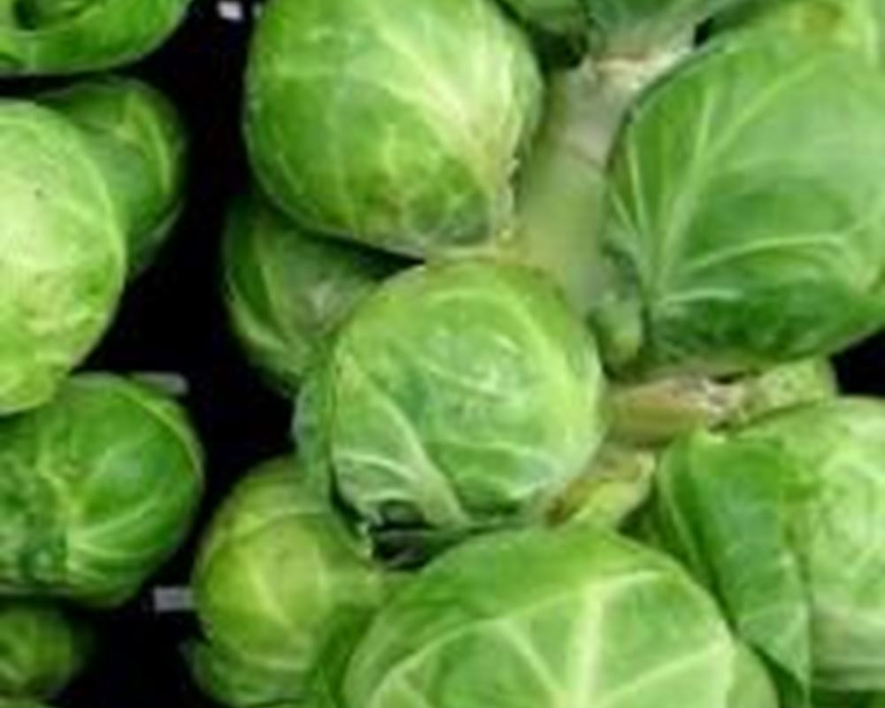 Brussel Sprouts 250g