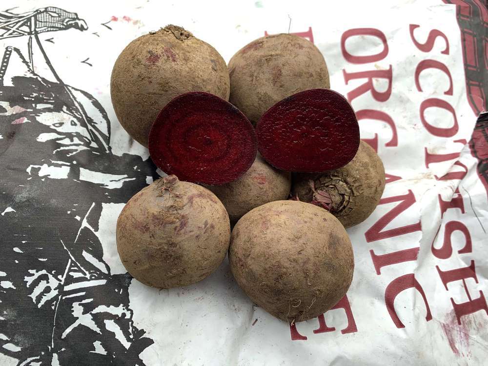 Organic Beetroot Red