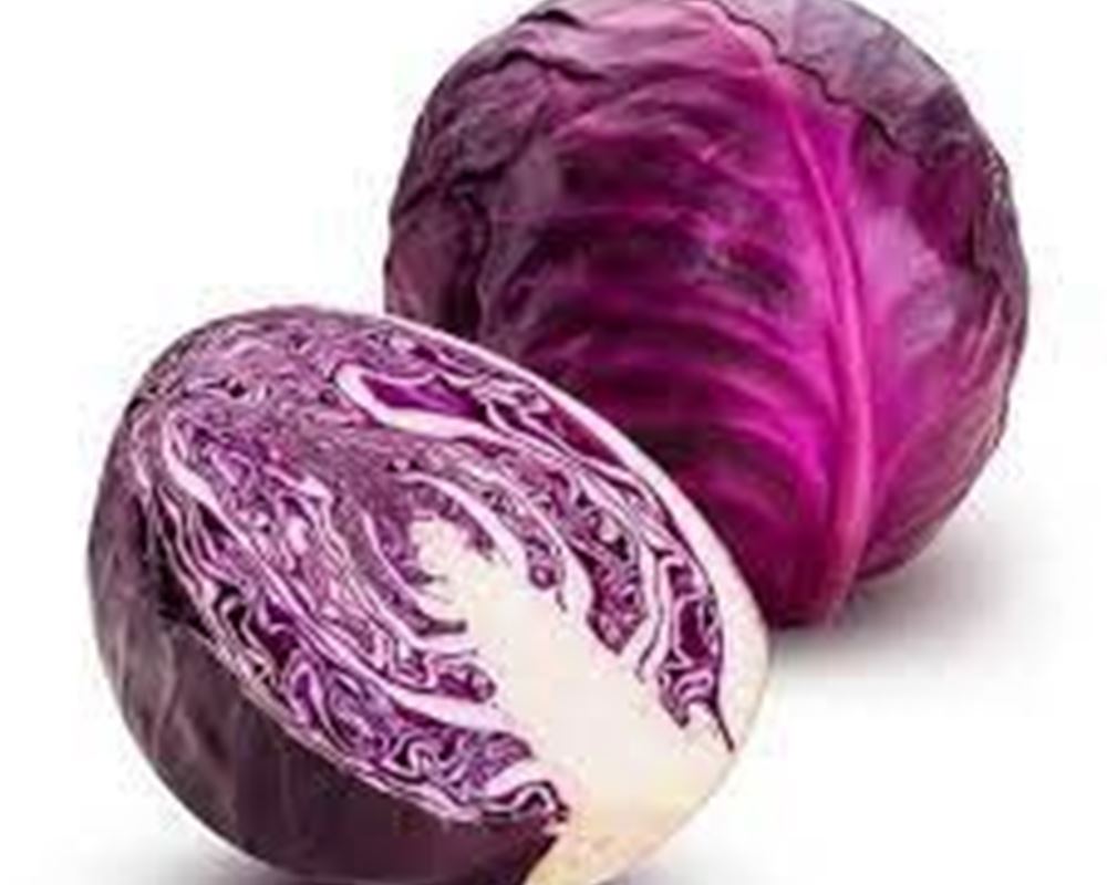 Red Cabbage