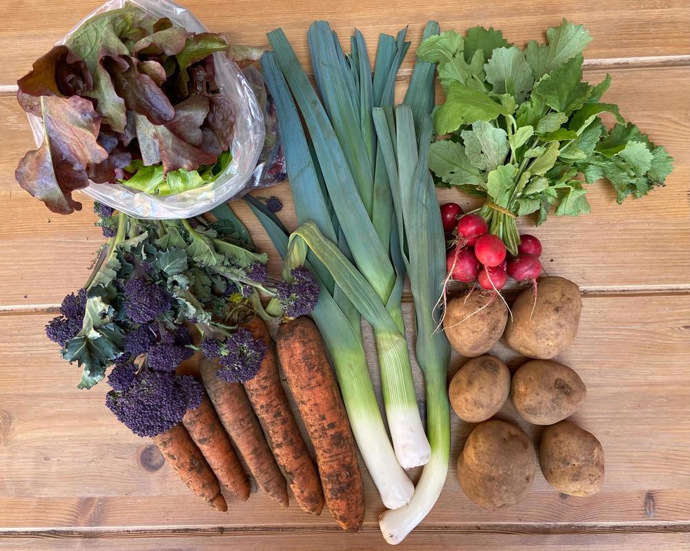Seasonal Veg Bag SMALL