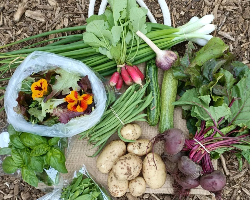 Seasonal Veg Bag SMALL