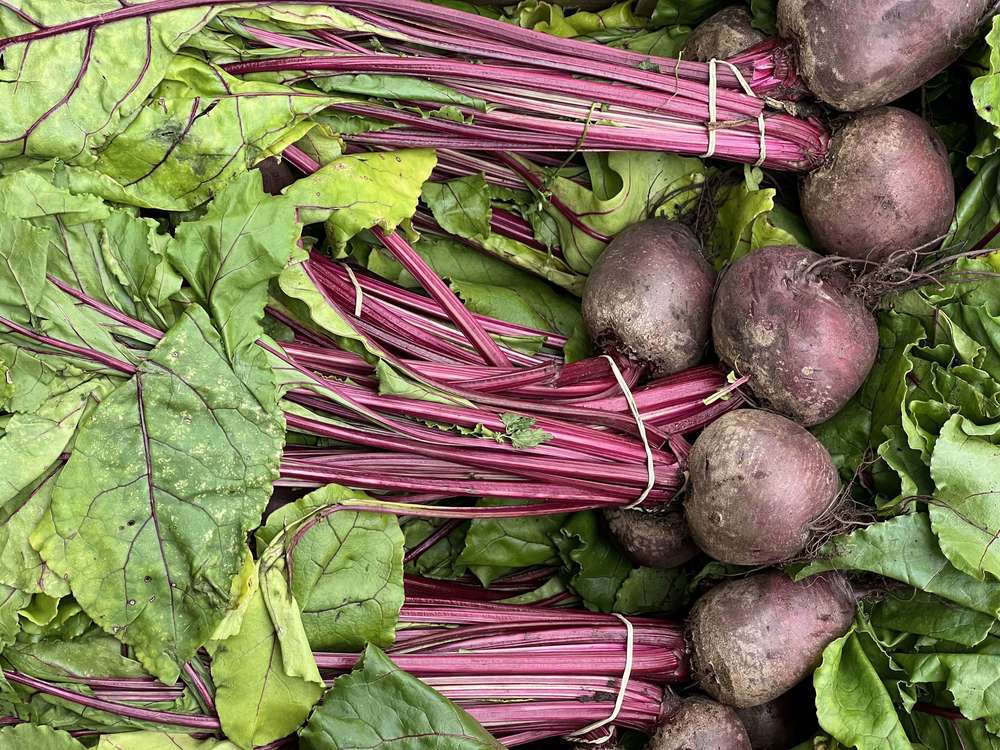 Beetroot - Red Bunched (UK)