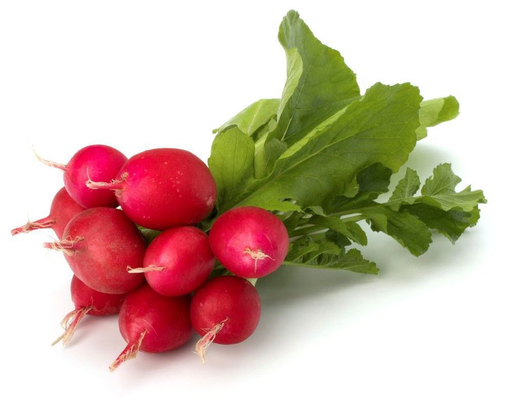 Organic Bunched Radish (French Breakfast)