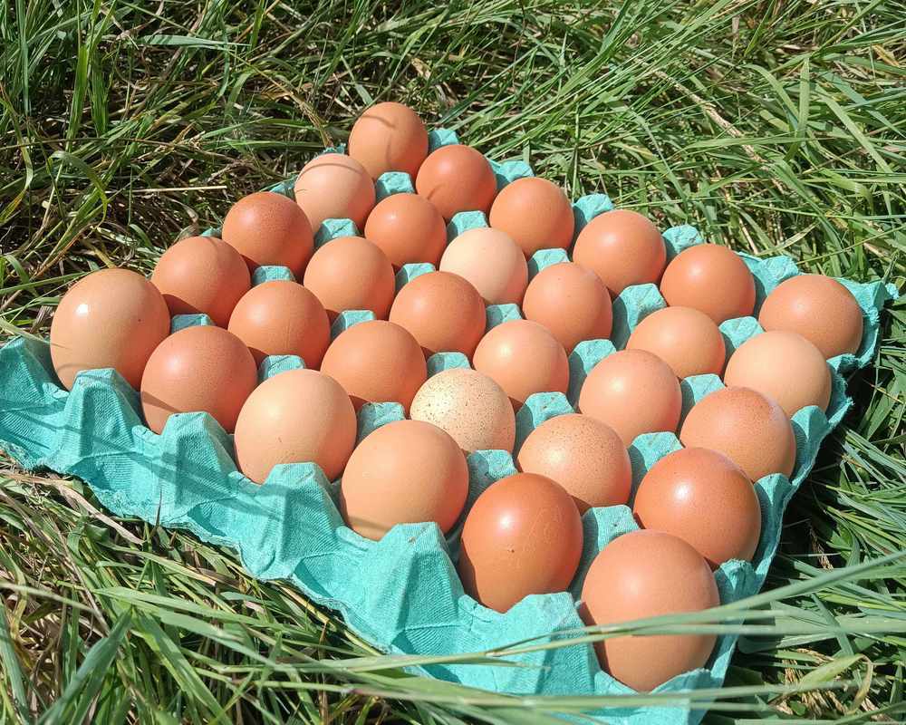 30 Organic eggs