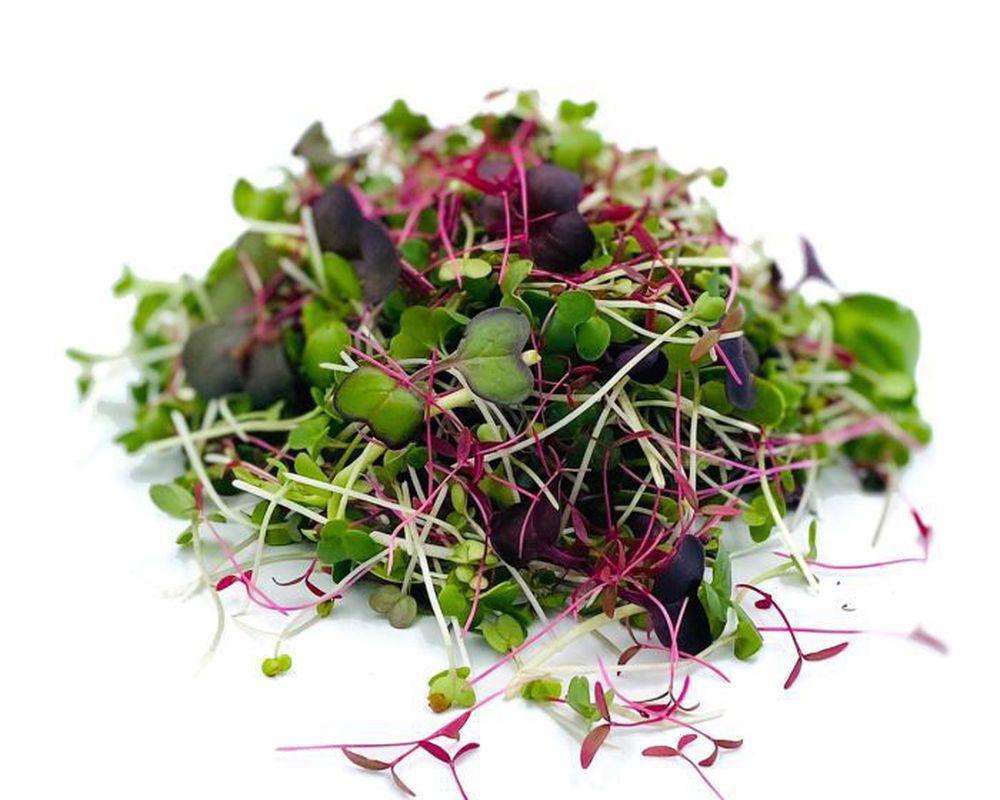 Microgreens Mixed