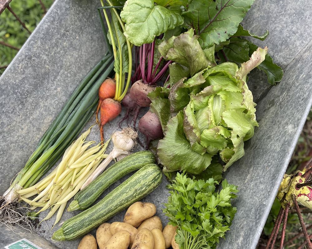 Small Veg Box