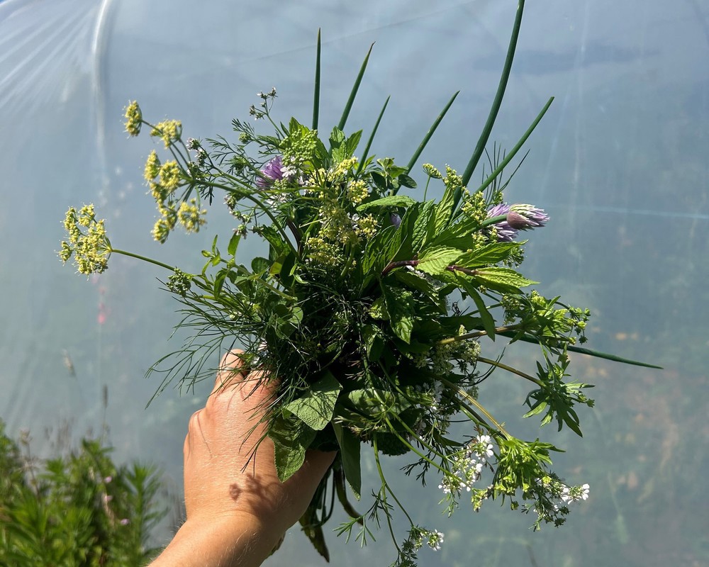 Mixed Herbs Bunch