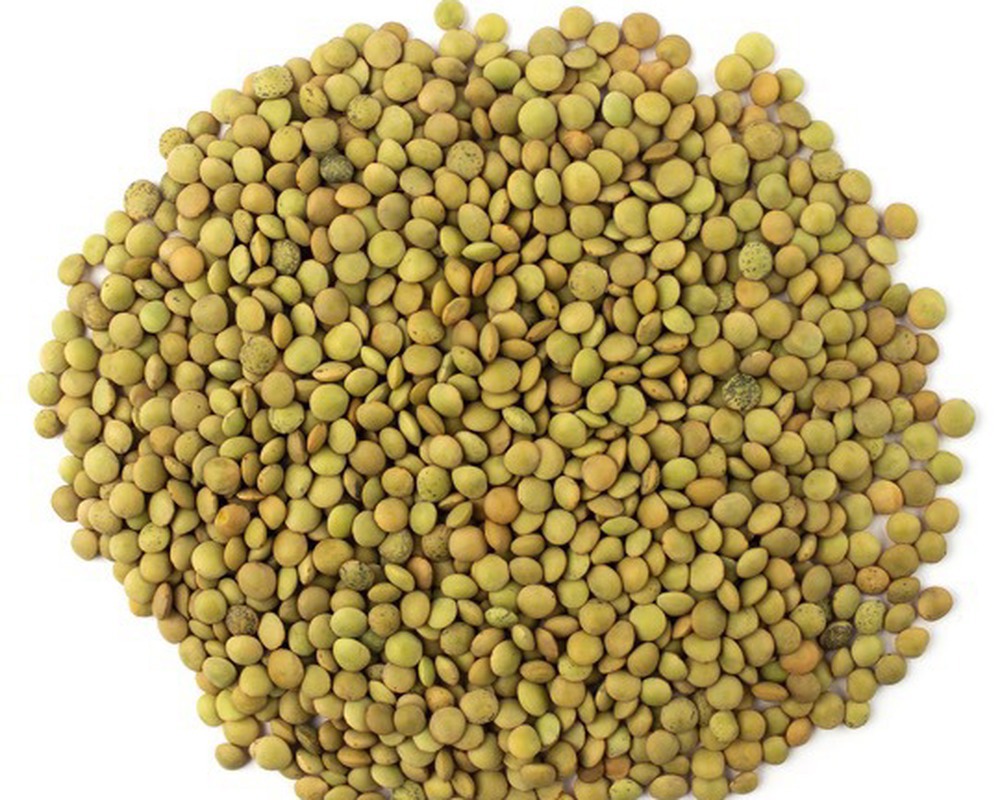 Green Lentils (per 100g)