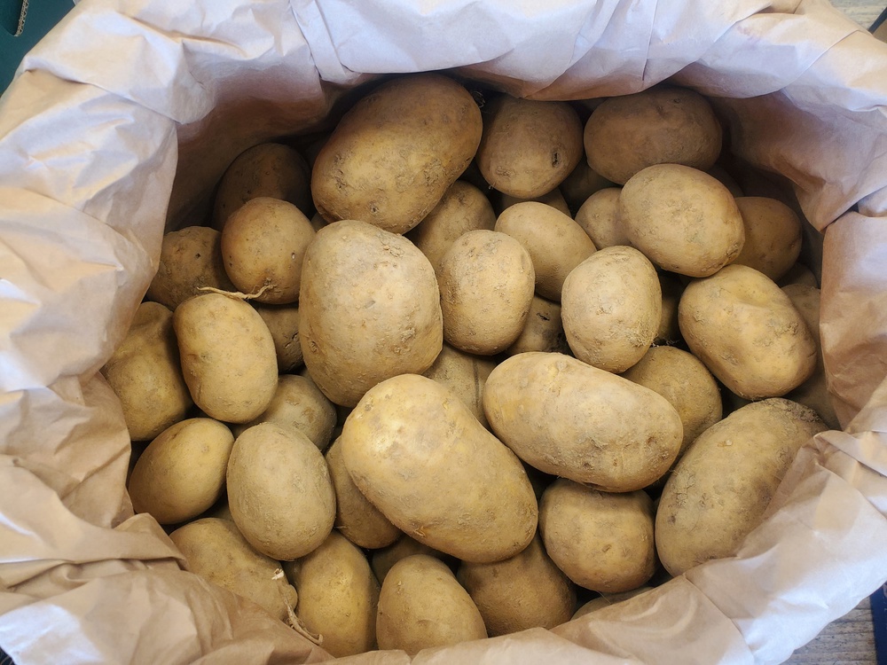 Potatoes - Gatsby 5kg bag