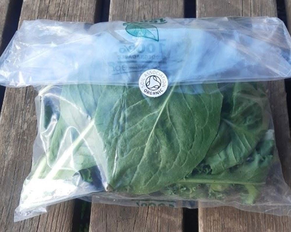 Winter Salad Bag 120g