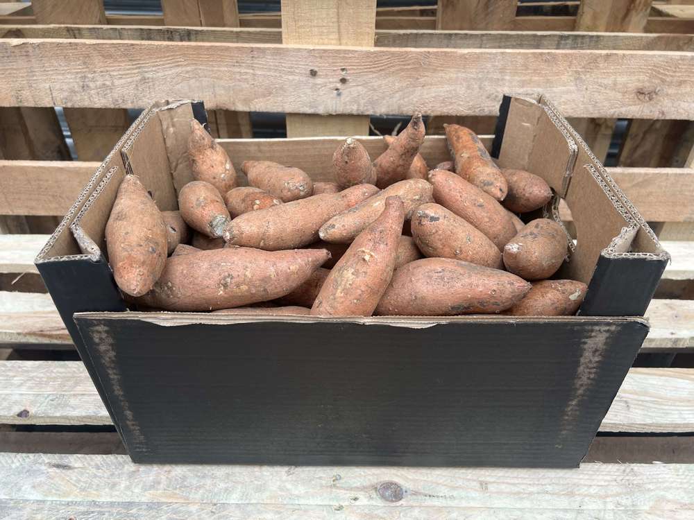 Potatoes - Organic Sweet