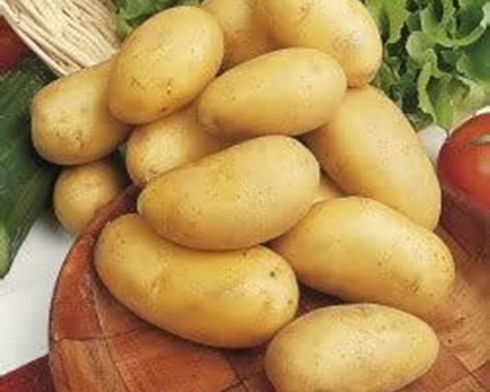 Potatoes New Jersey Royal