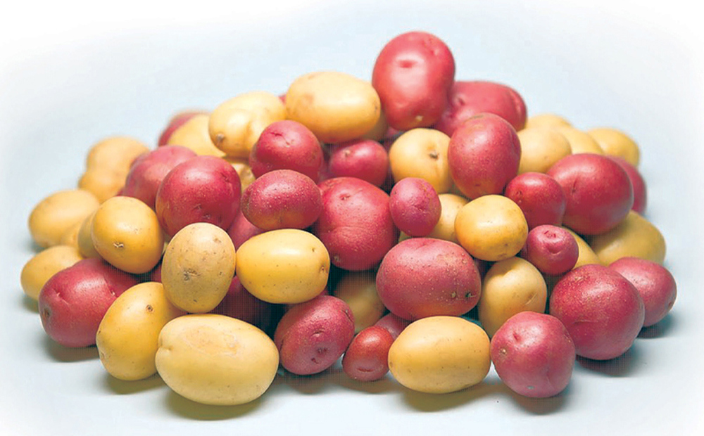 Potatoes New