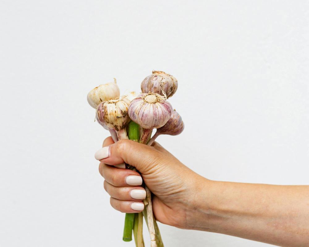Fresh Garlic