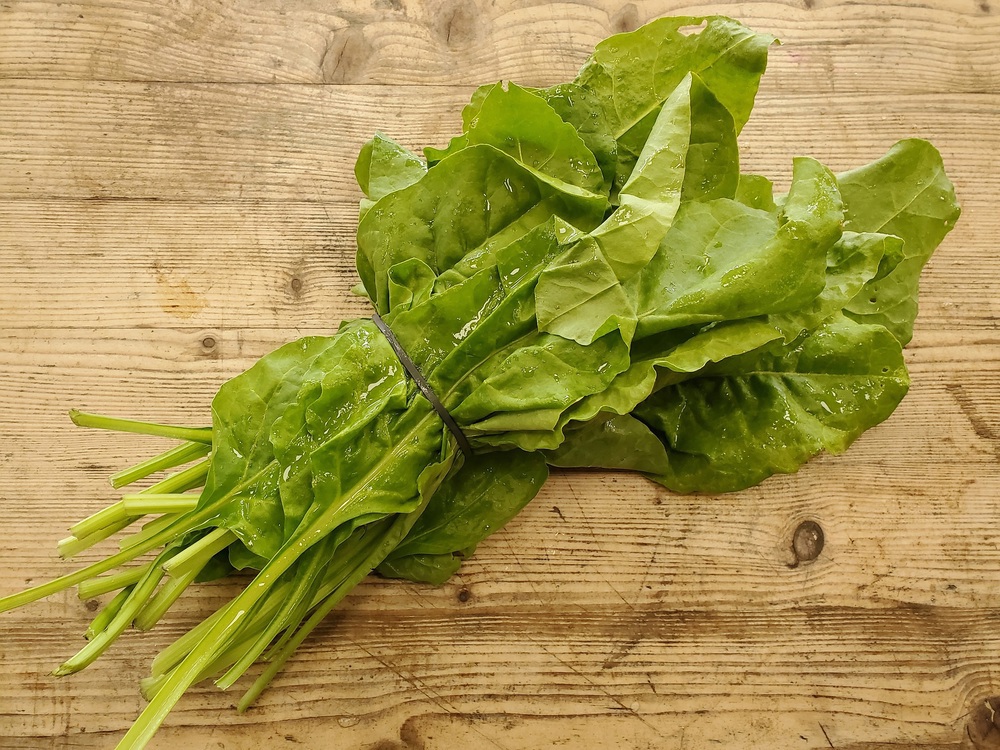 Spinach - perpetual