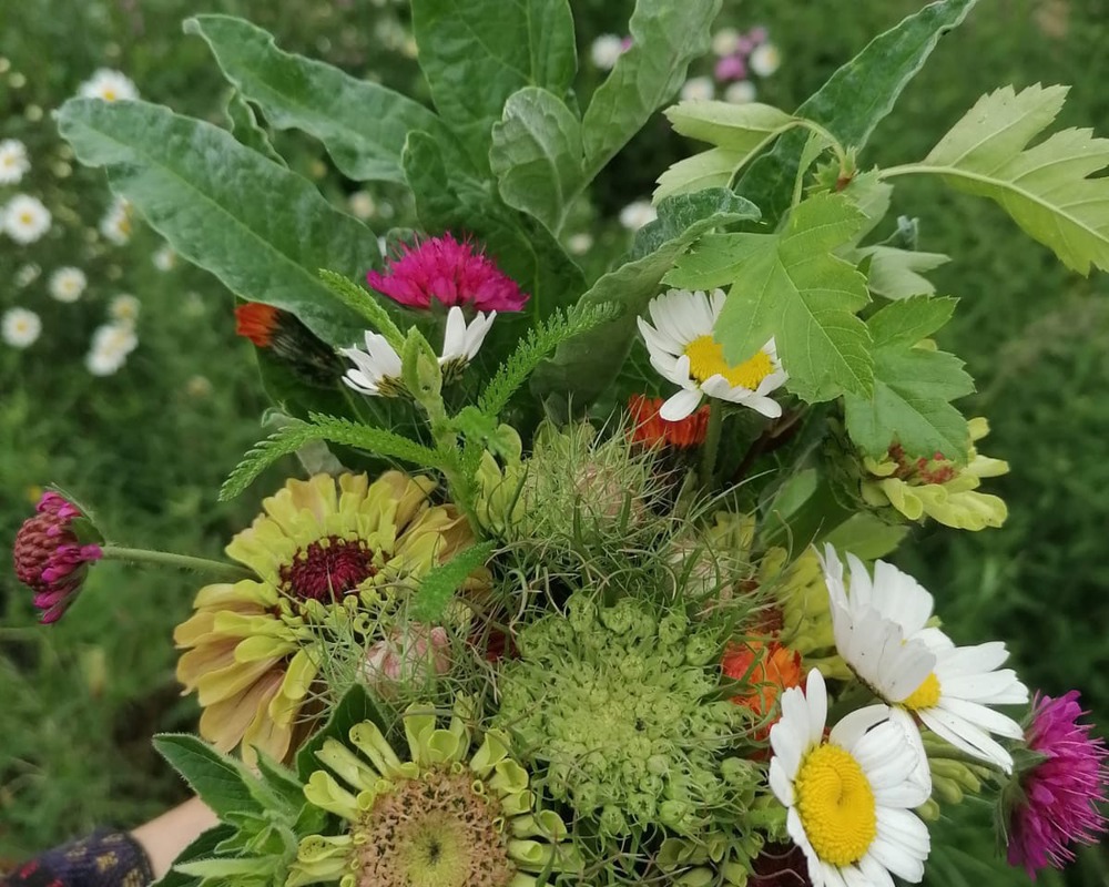 Organic Mixed Bouquet