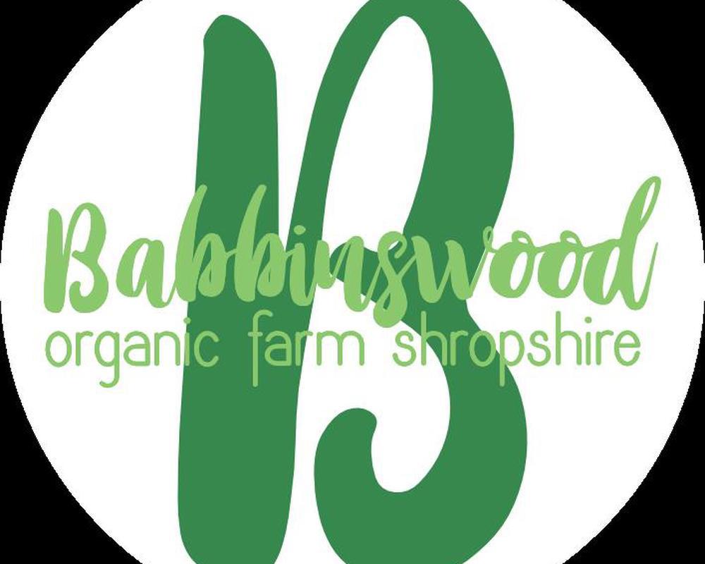 Babbinswood Lamb - Ribs