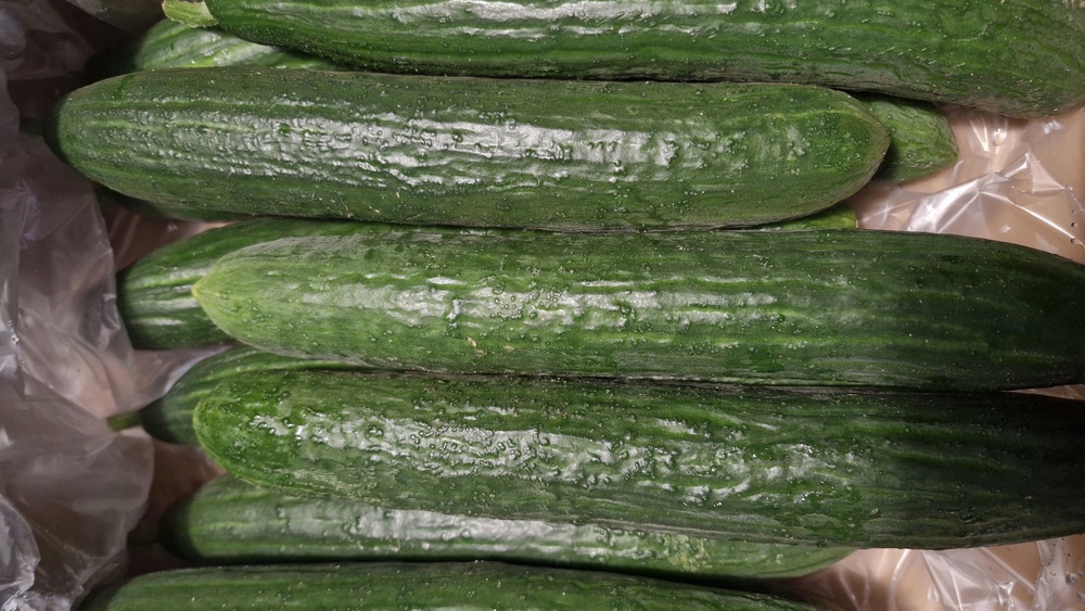 Cucumber